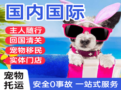 梅州梅县航空运输国际宠物托运 【国